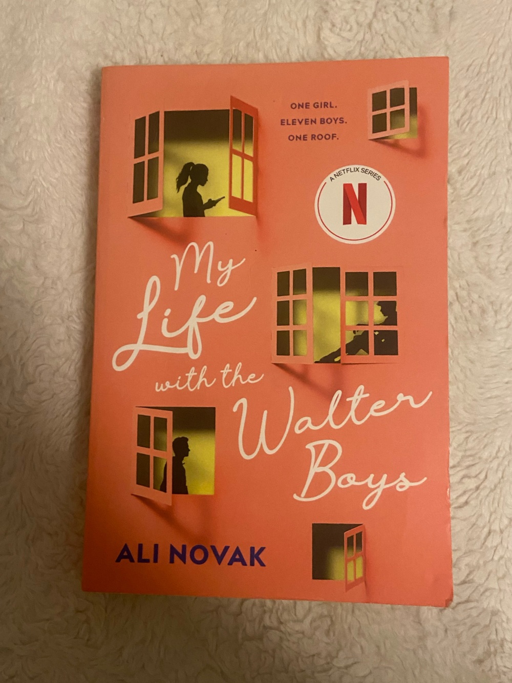 My Life with the Walter Boys - Ali Novak